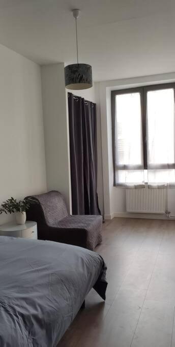 Logement 5 Personnes Proche Cv Et Parking Prive Apartment Сент Етиен Екстериор снимка