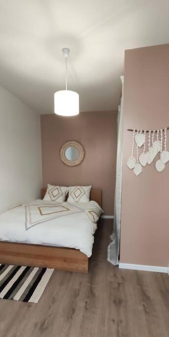 Logement 5 Personnes Proche Cv Et Parking Prive Apartment Сент Етиен Екстериор снимка