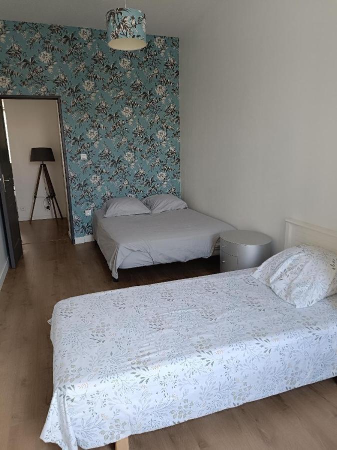Logement 5 Personnes Proche Cv Et Parking Prive Apartment Сент Етиен Екстериор снимка